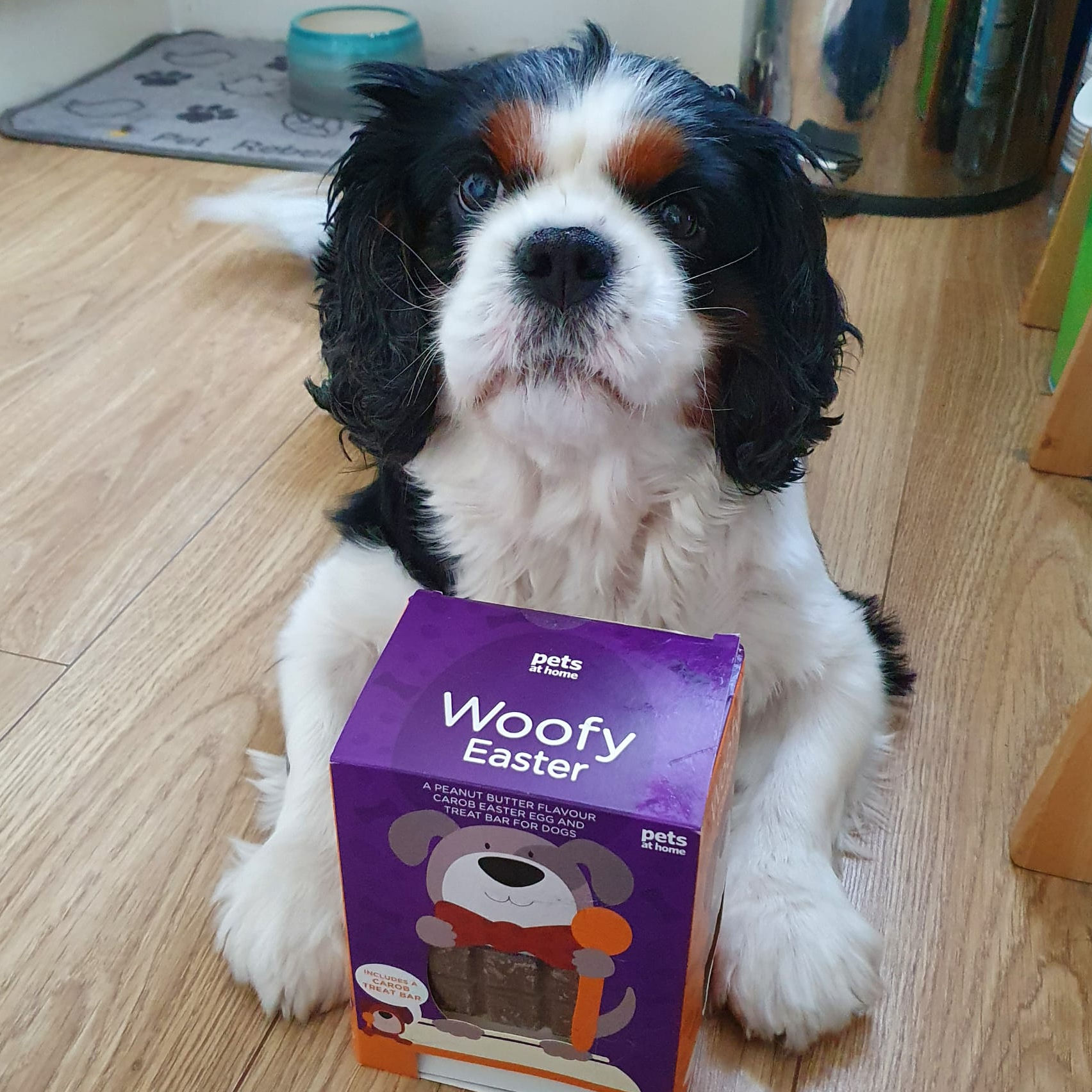 2024_2025 - Murphy - 21.jpg